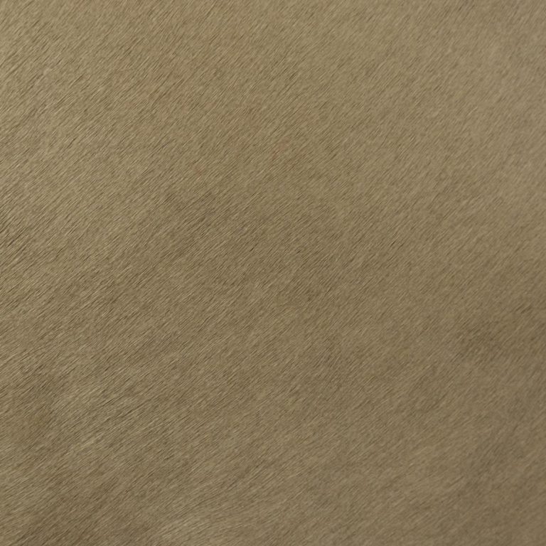 grey hair on hide leather