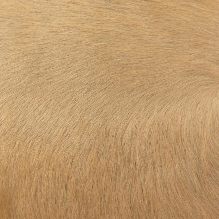 tan hair on hide upholstery leather