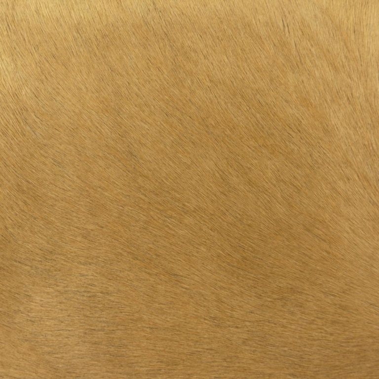 tan hair on hide leather