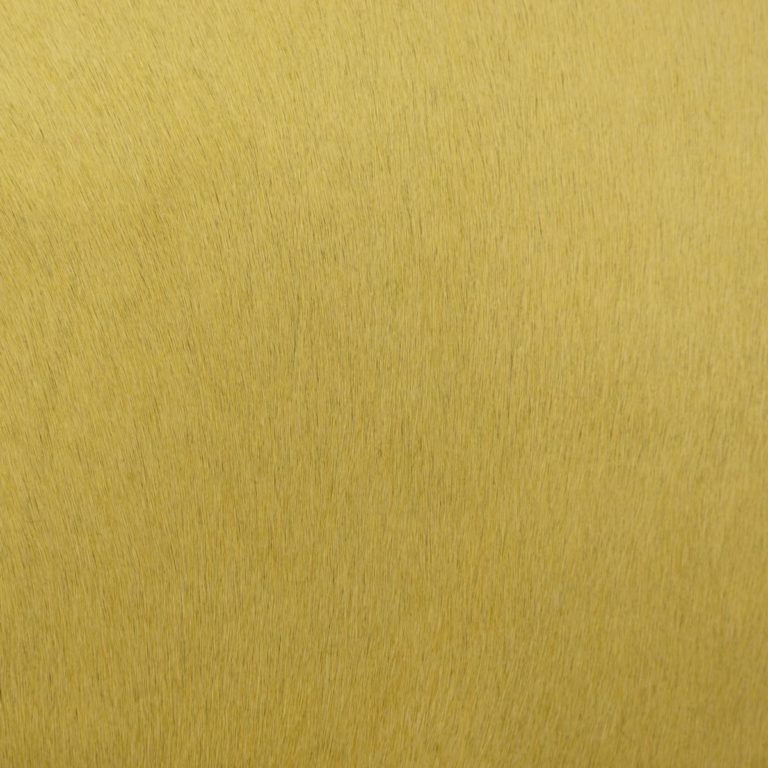 light yellow hair on hide