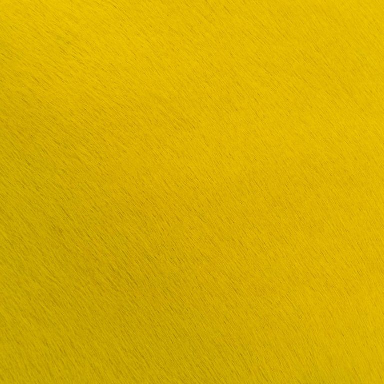 bright yellow hair on hide upholstery leather