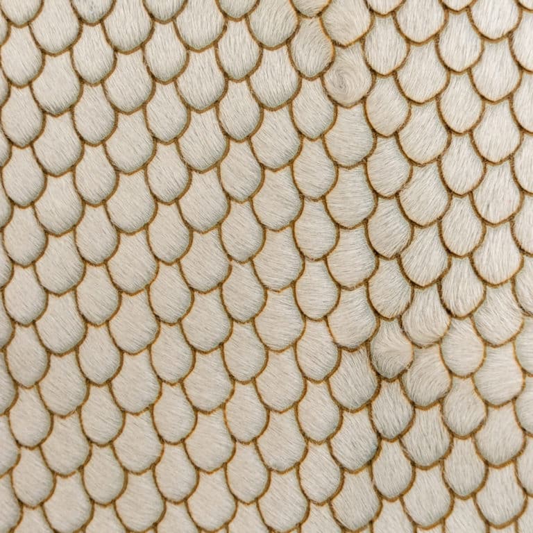 scalloped laser cut hair on hide leather