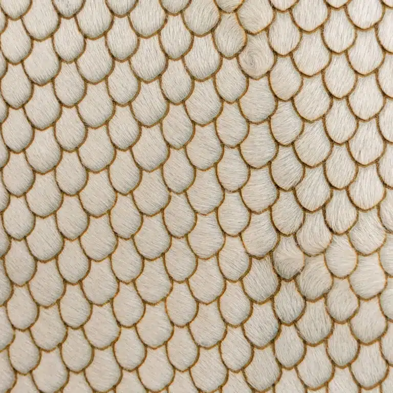 scalloped laser cut hair on hide leather