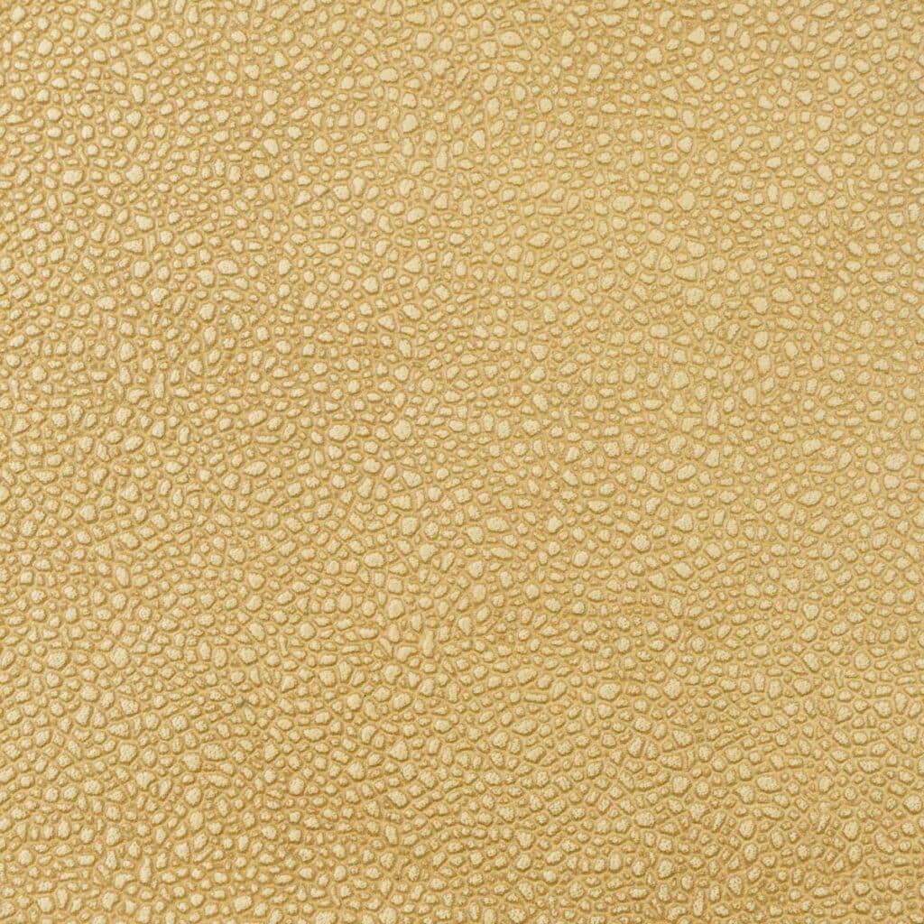 Sandbar