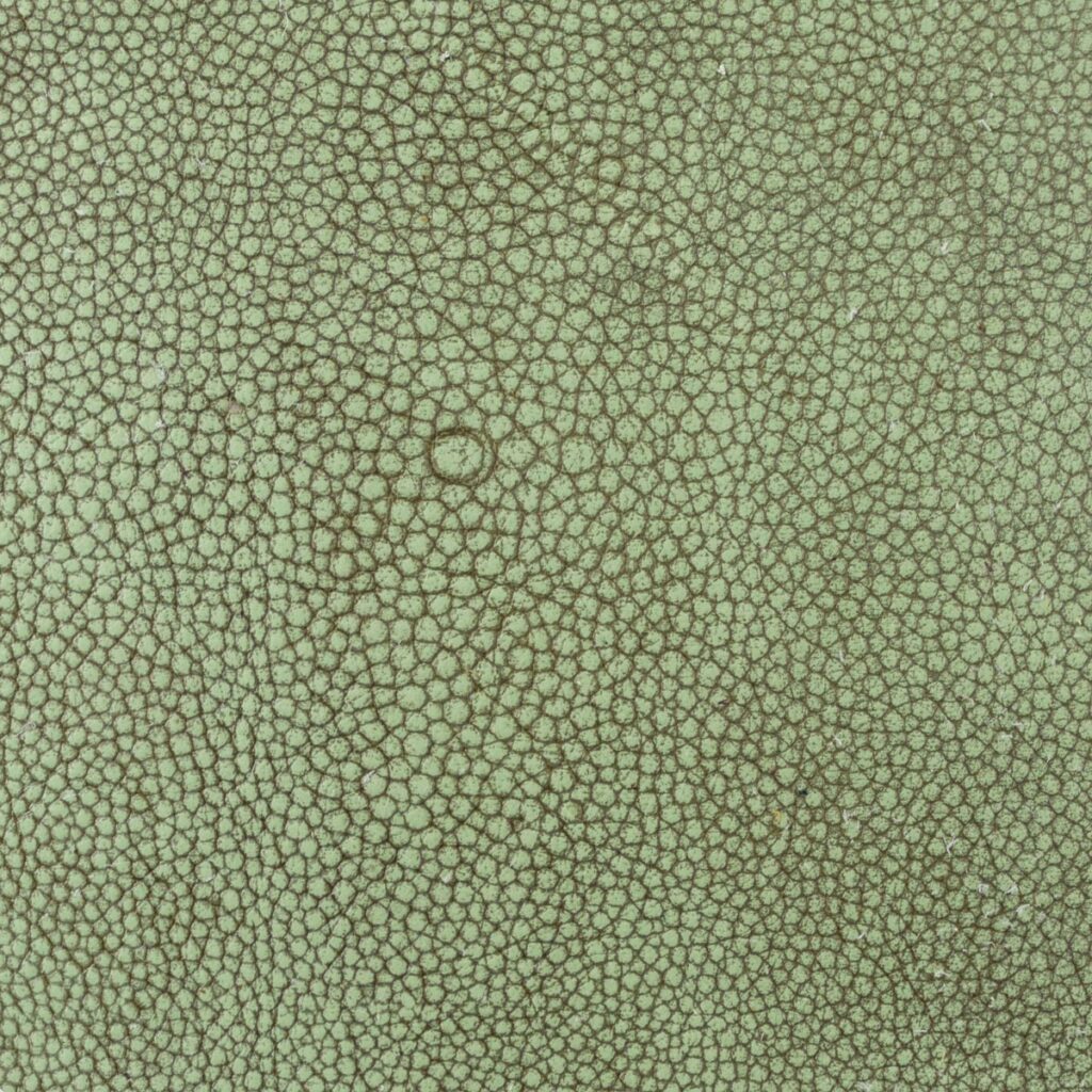 Pistachio