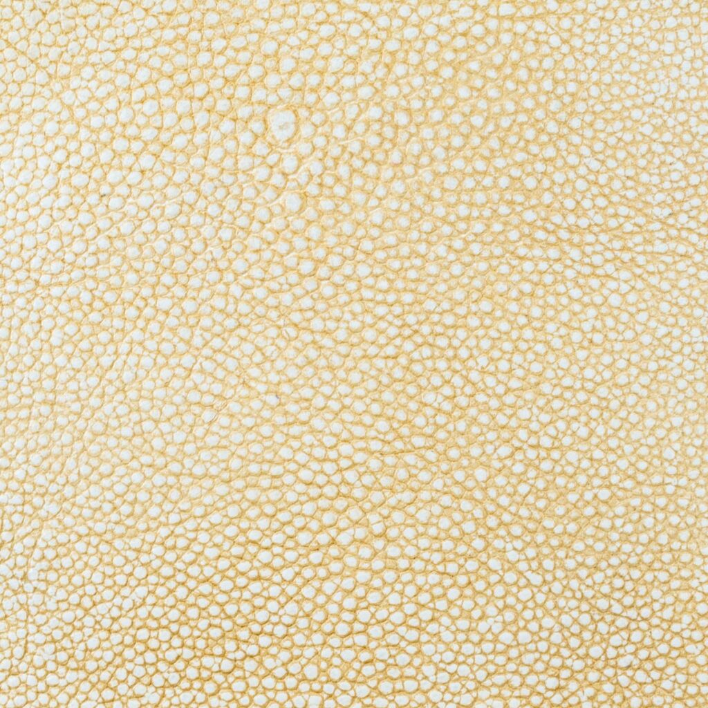 Pale Almond