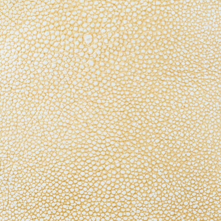 pale almond shagreen embossed leather