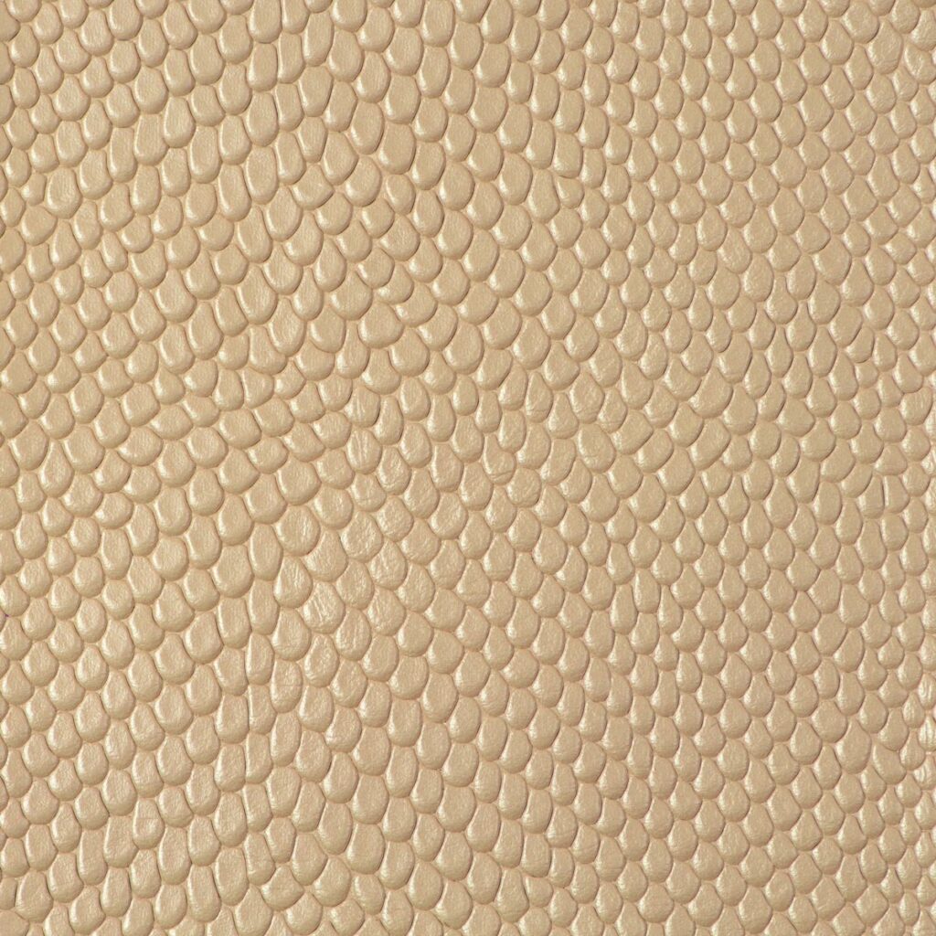 Reptile