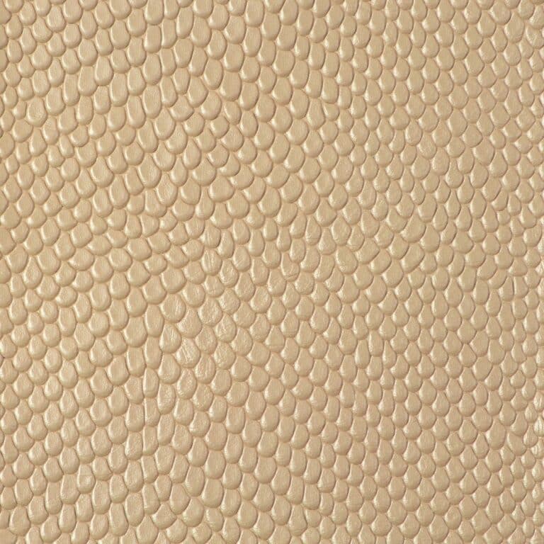 express leaps and bounds reptile