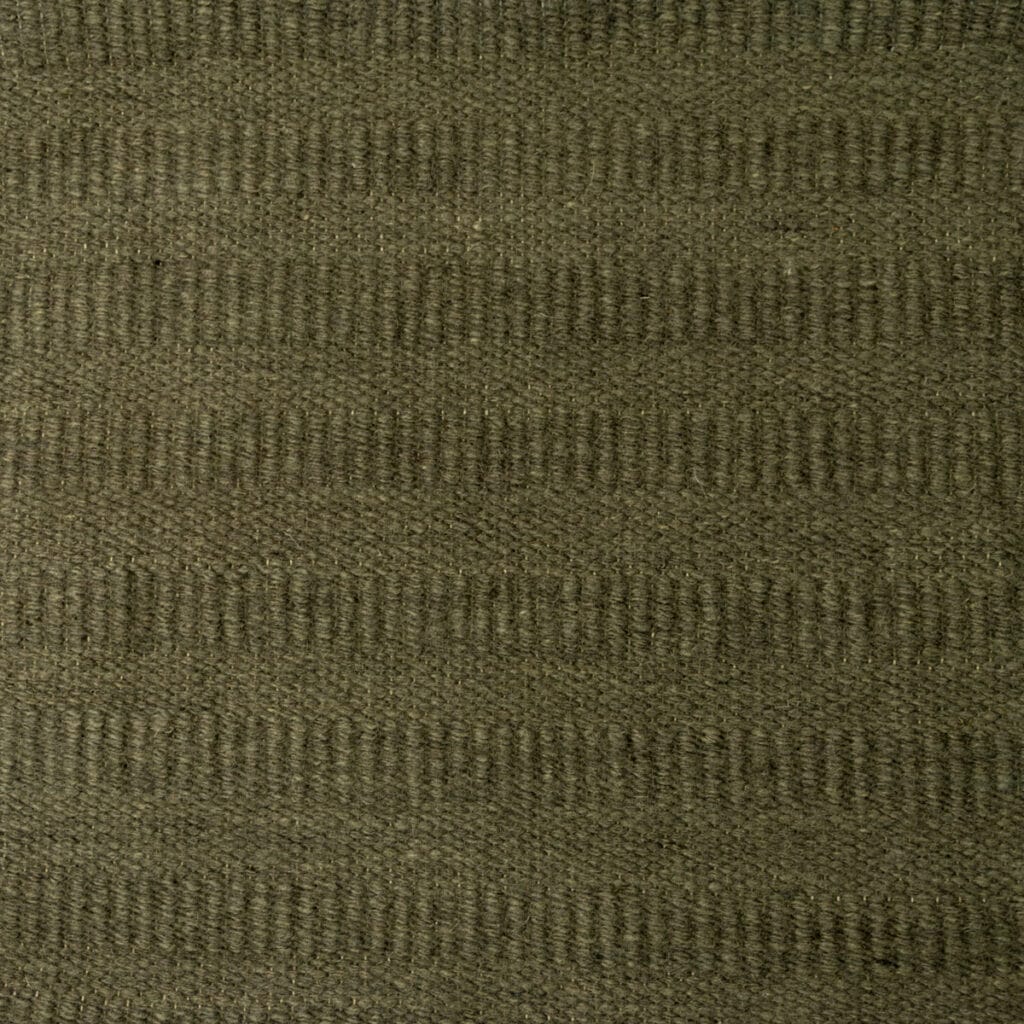 Fern