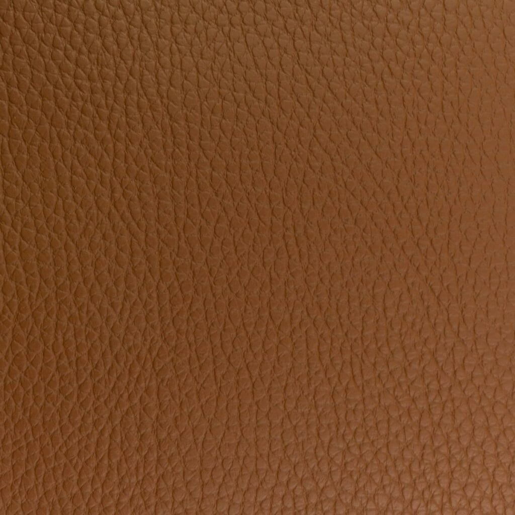 Gazelle