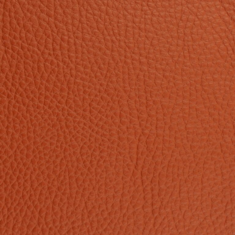 European leather sample
