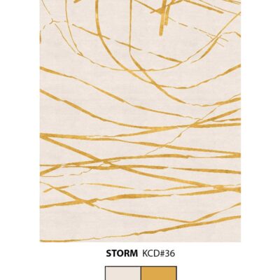 Storm by Philippe David Rendering