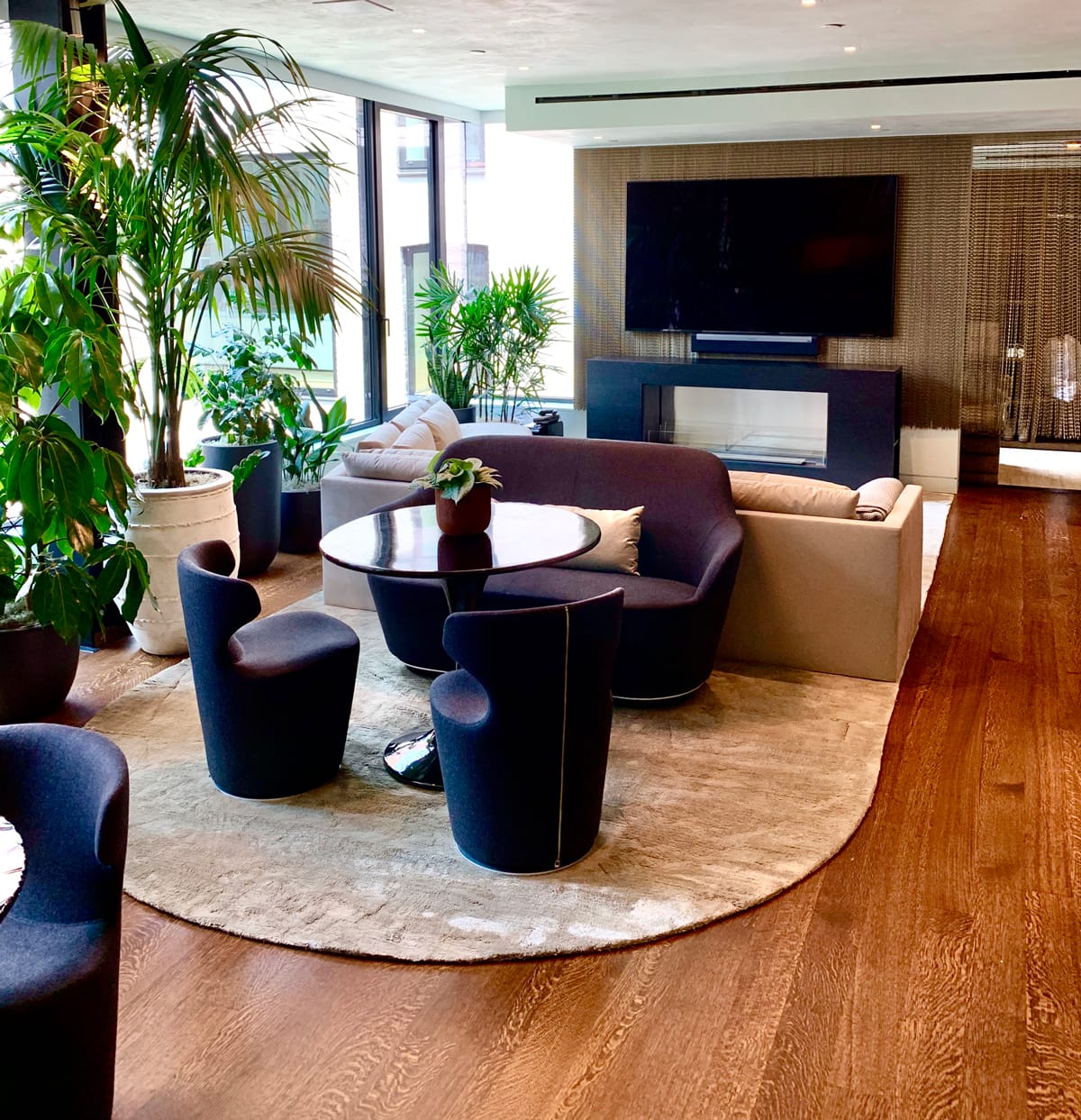 Soho NY living room