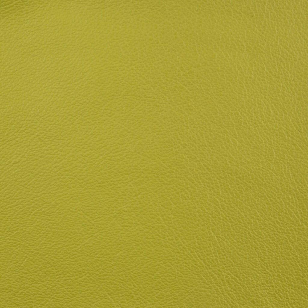 Lemon Zest