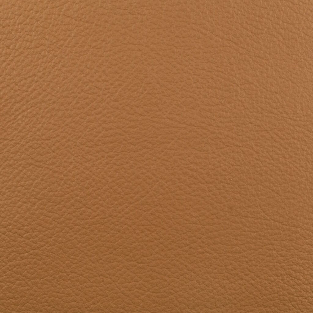Buckskin