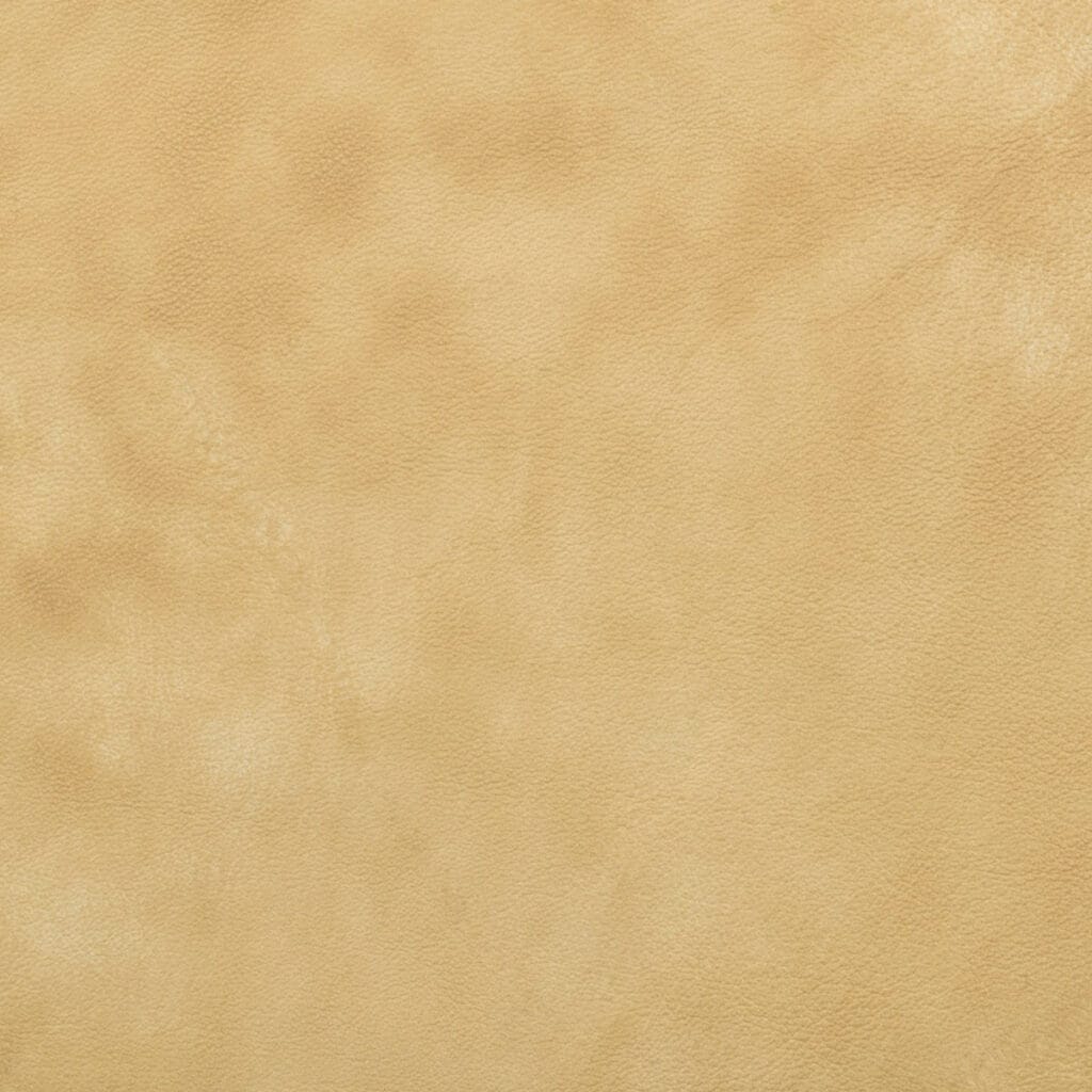 Mesa