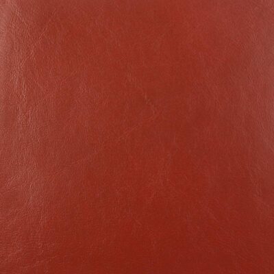 On the Double express leather red lizard