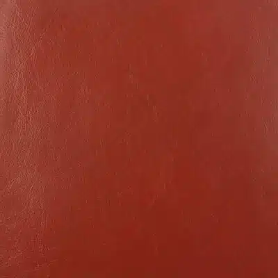On the Double express leather red lizard