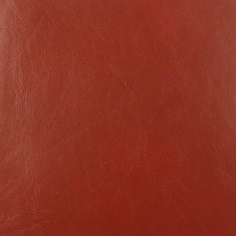 On the Double express leather red lizard