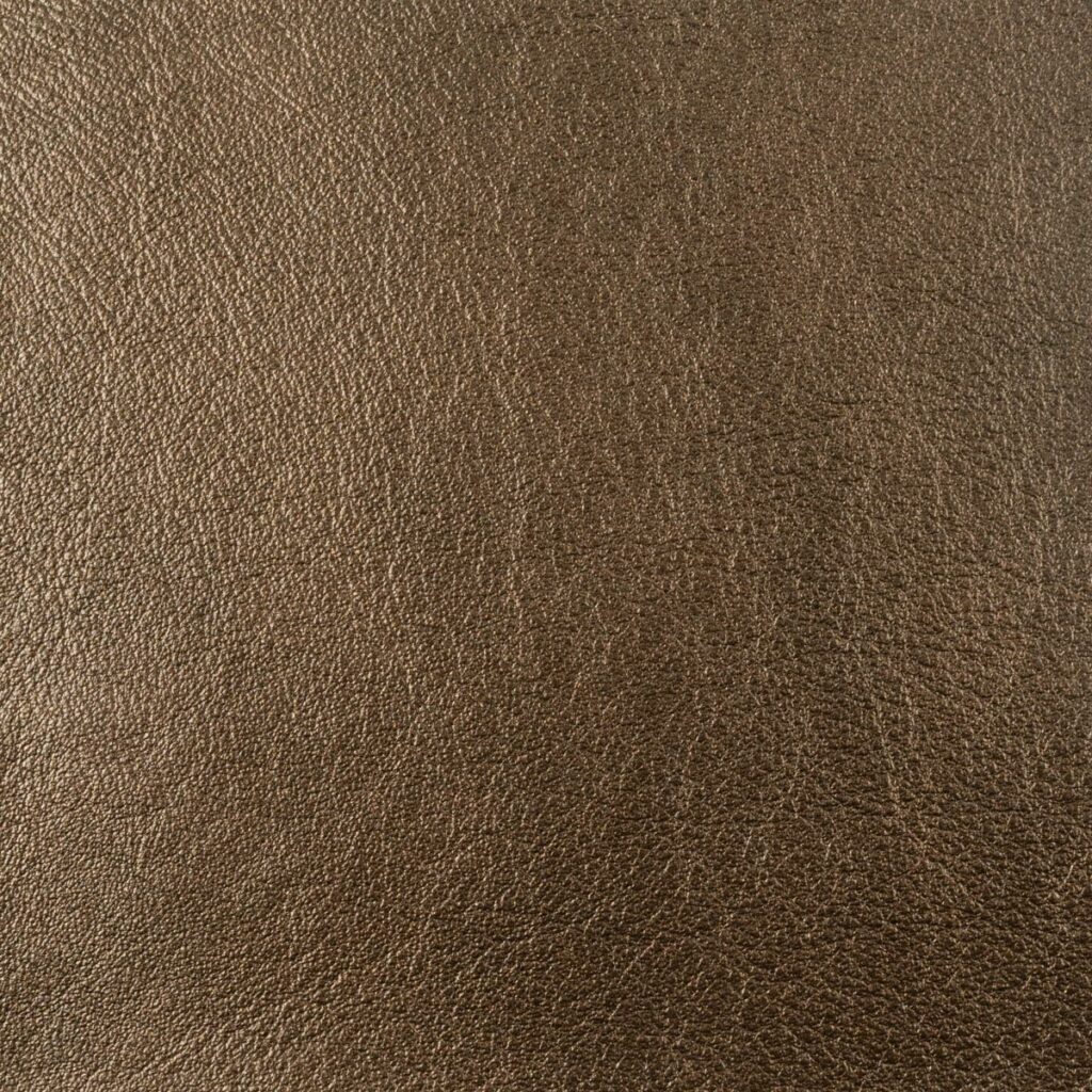 Indy Bronze