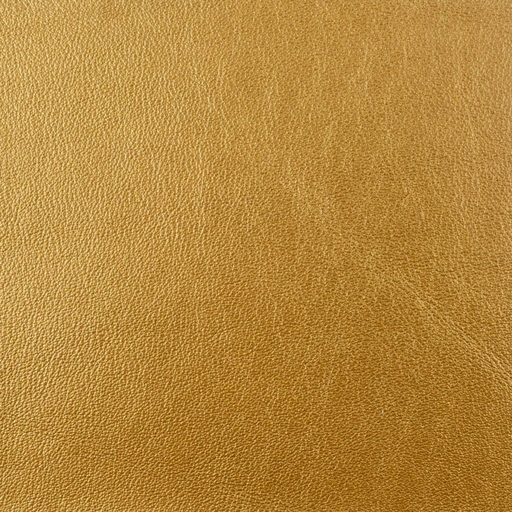 Guardian's Gold