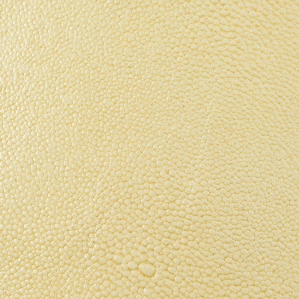 Cream Froth