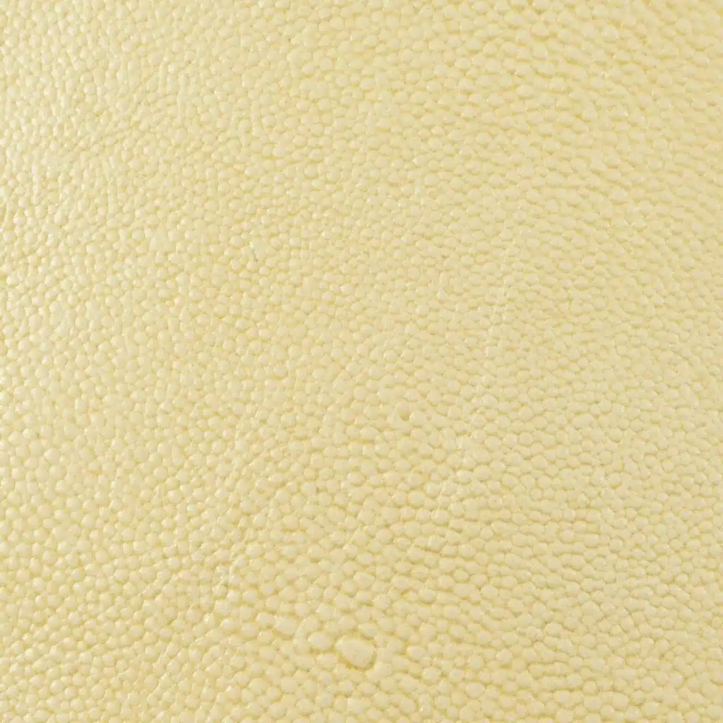 Cream Froth