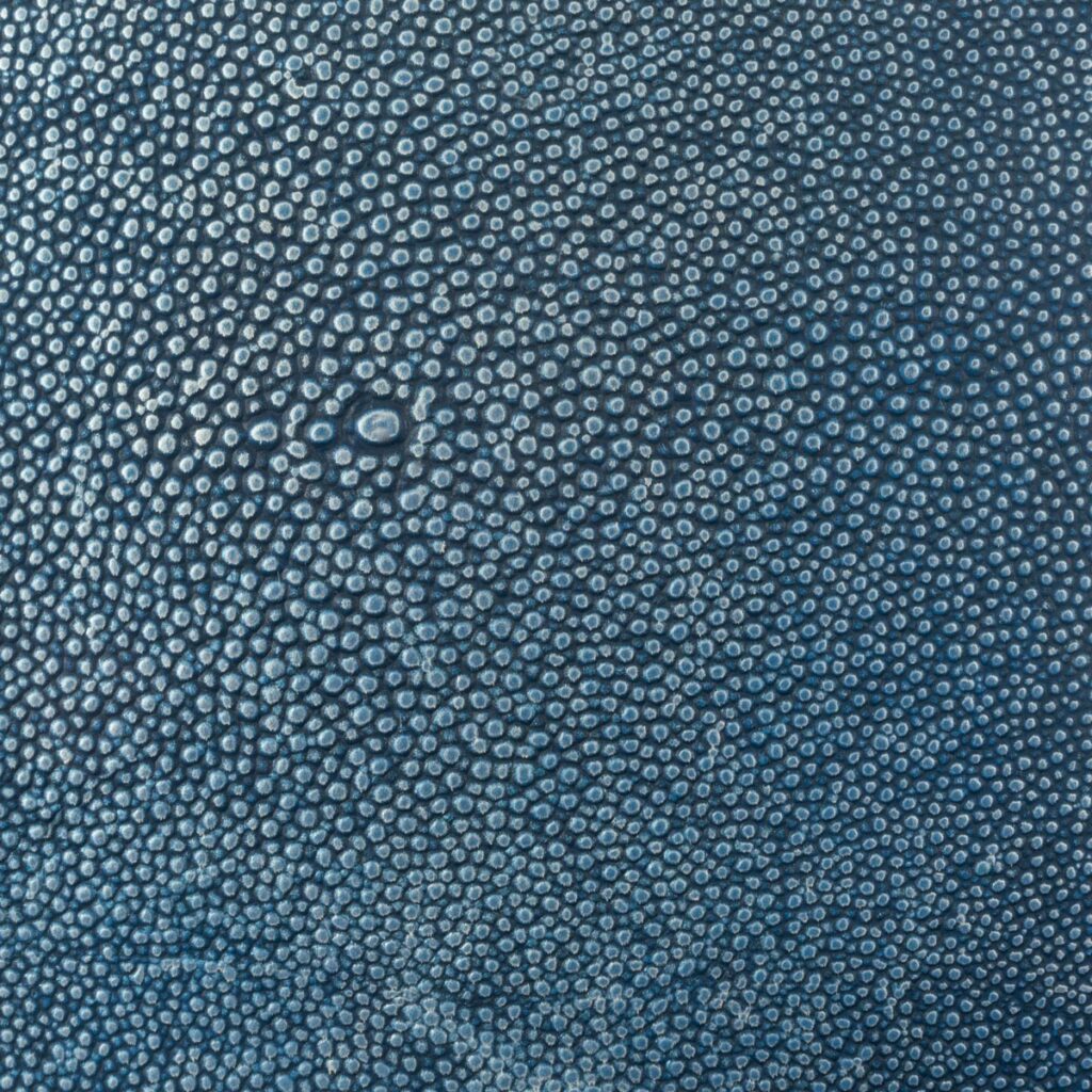 Blue Danube