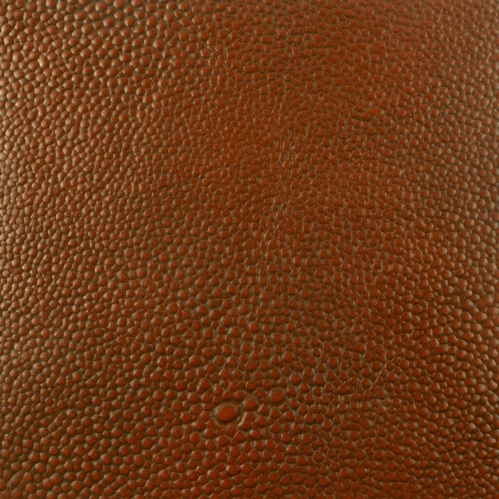 Acorn