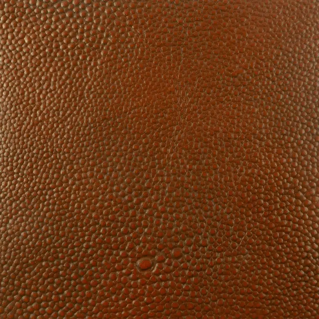 Acorn