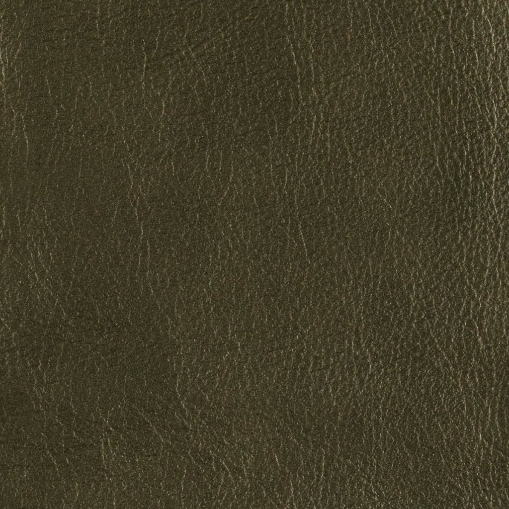 Loden