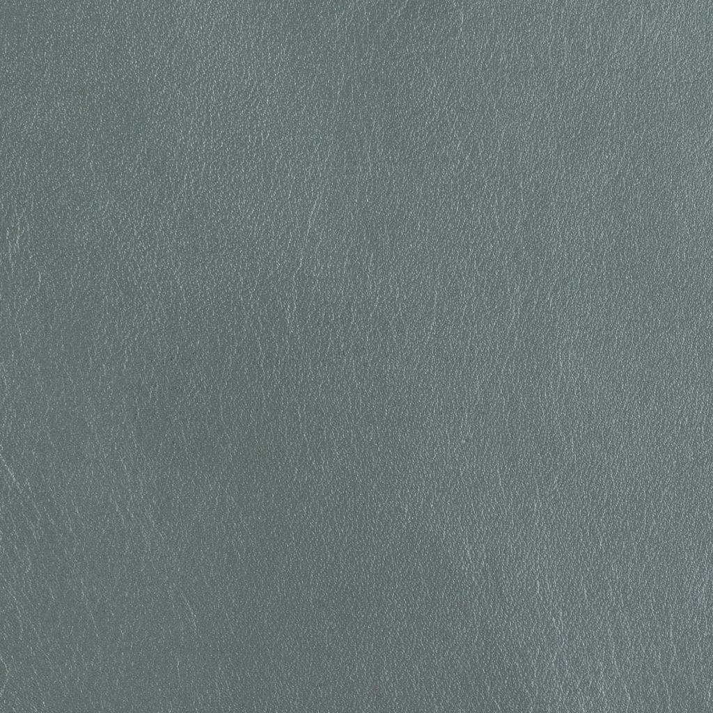 Silver Leaf
