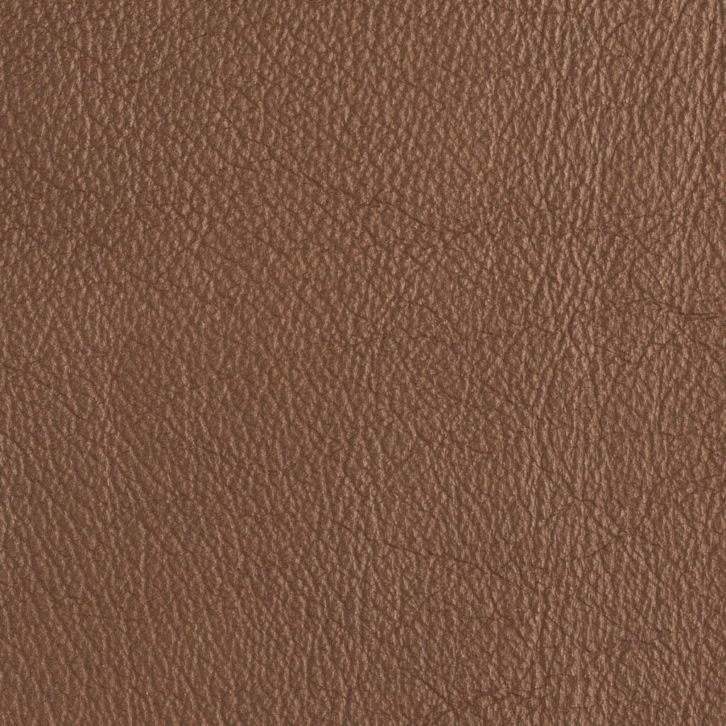Shiny Penny