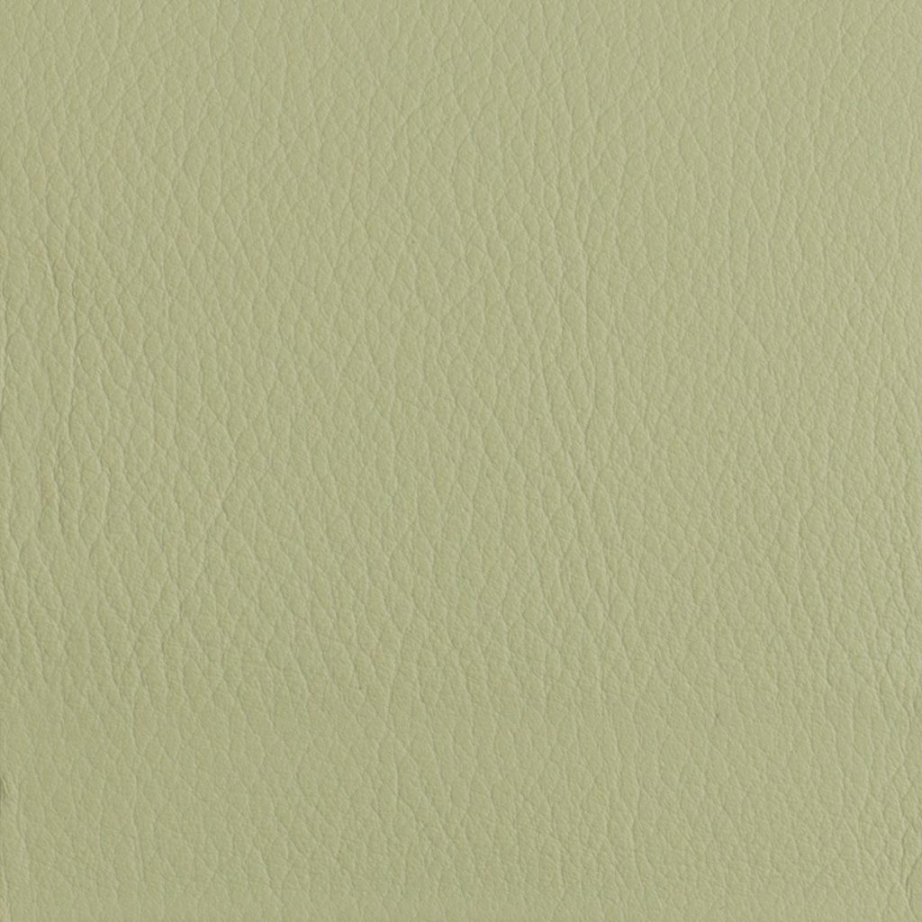 Salem Green