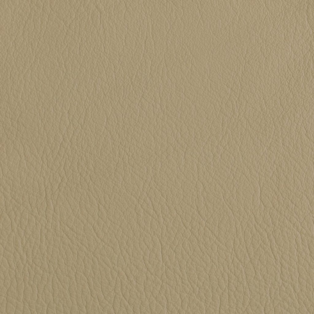Cement