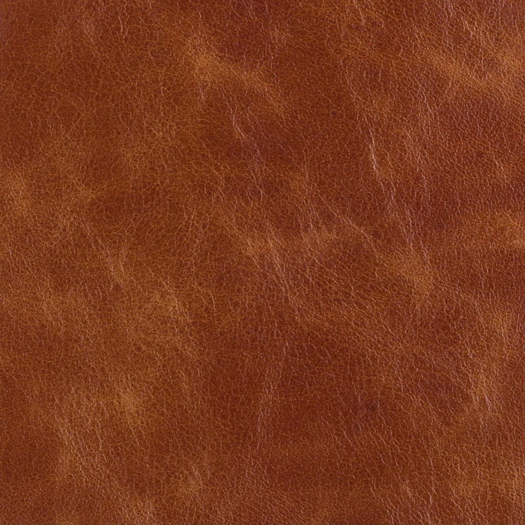 Saddle