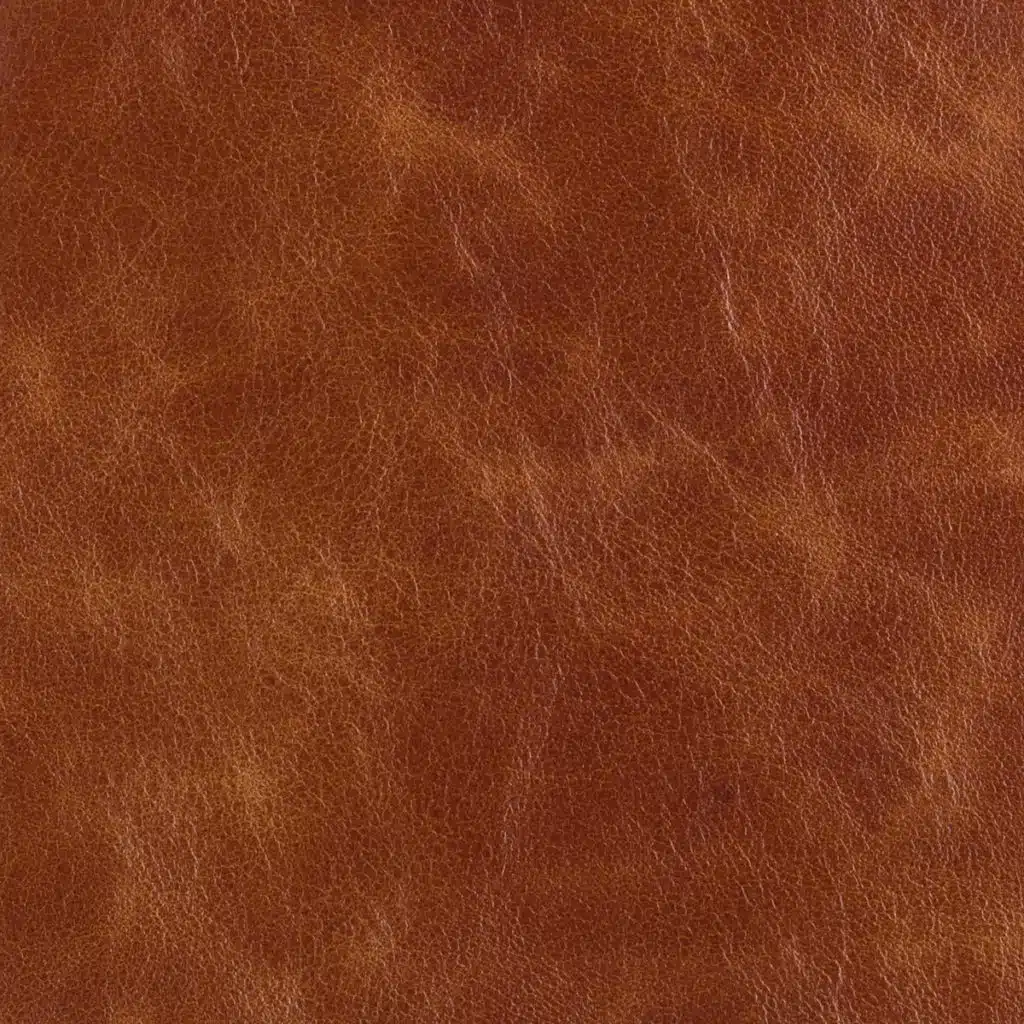 Saddle