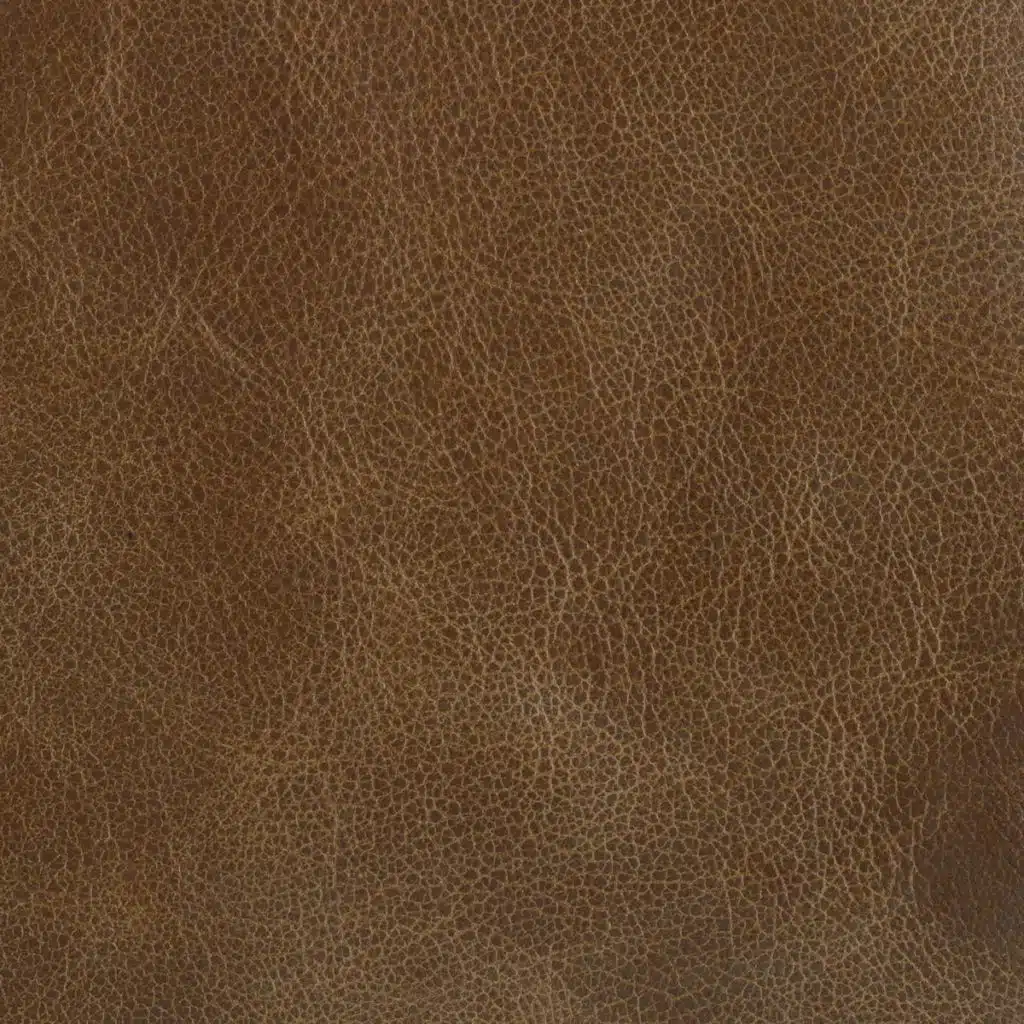 Brush