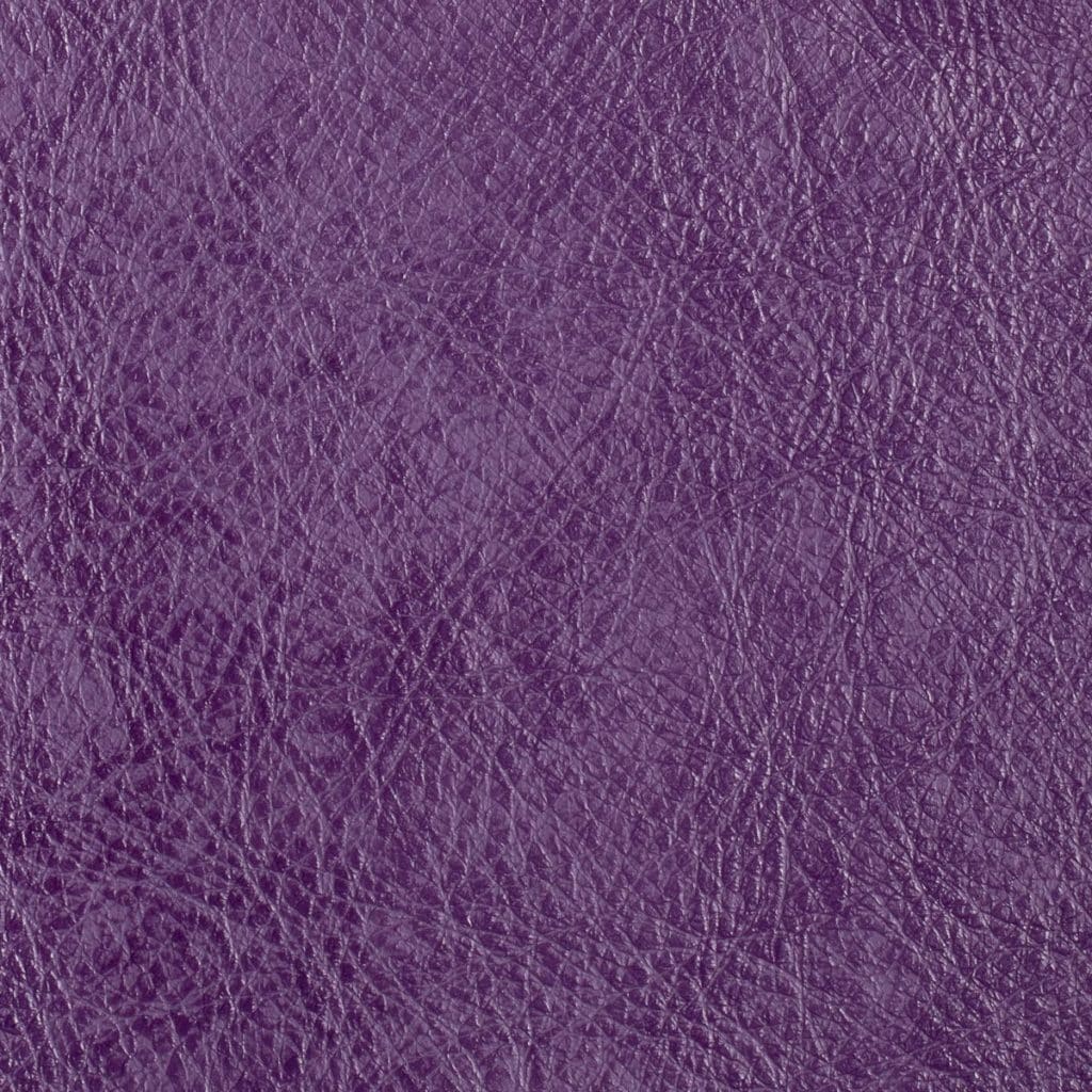 African Violet