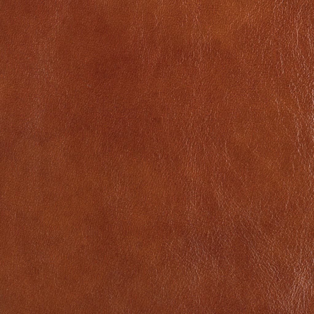 Saddle