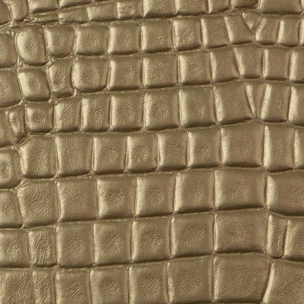 Gator