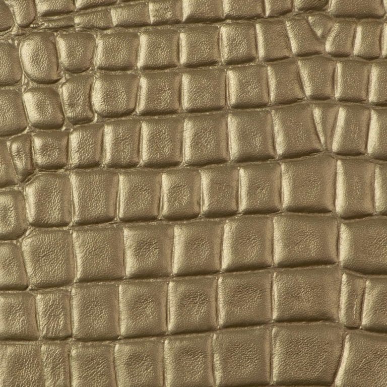 Express Leaps & Bounds Embossed Matrix