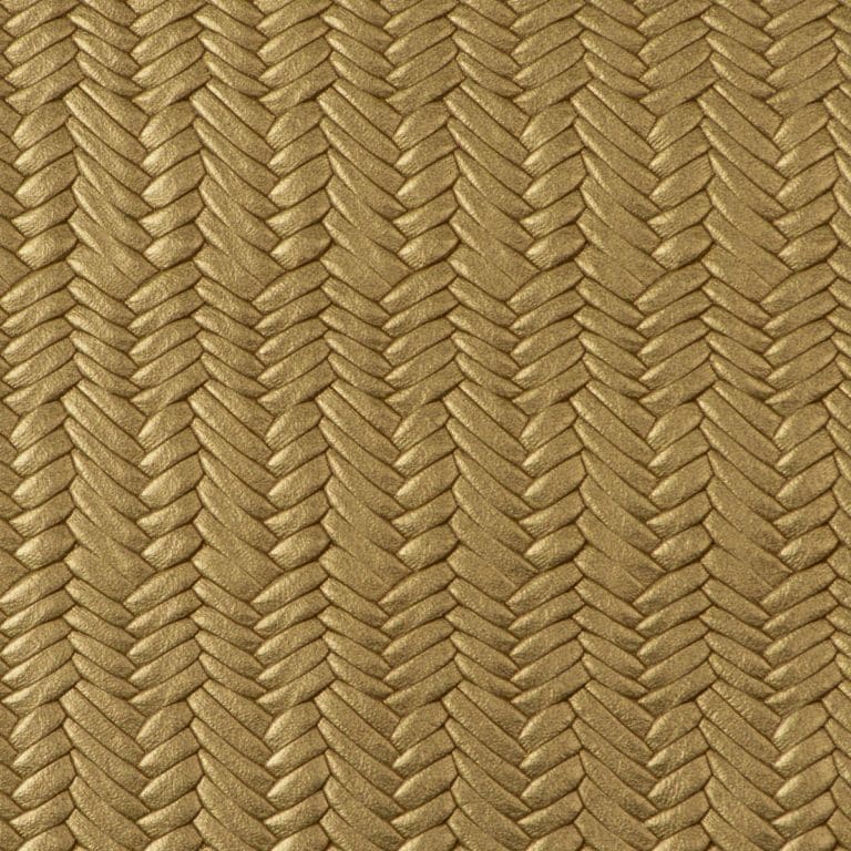 Express Leaps & Bounds Embossed Voyager