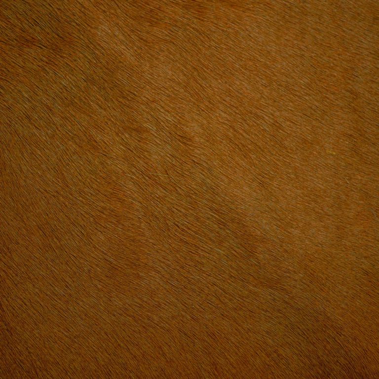 Hair-on-Hide Cinnamon