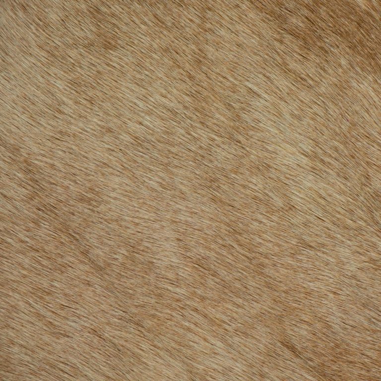 Hair-on-HIde Two Toned Latte