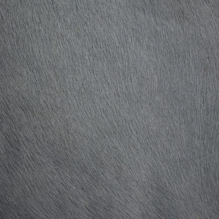 Hair-on-HIde Smoke Grey