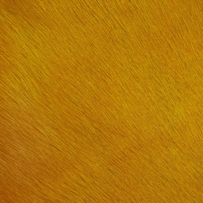 Hair-on-HIde Saffron