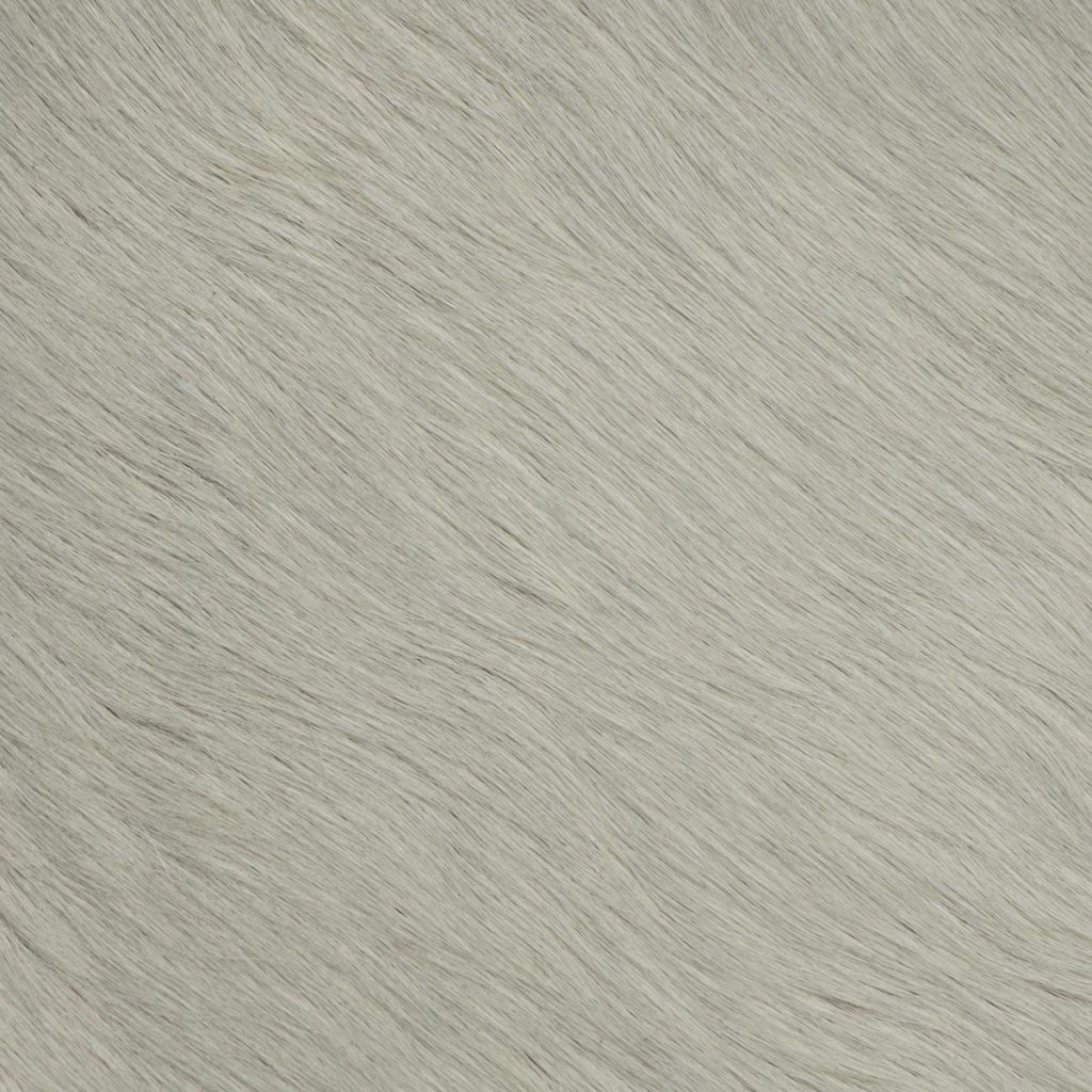 Polar