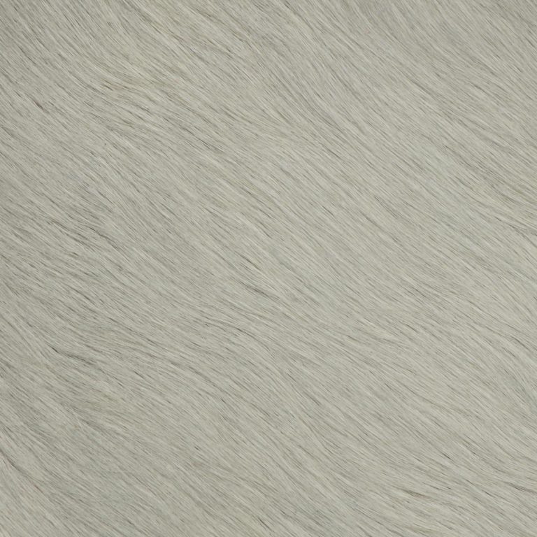 Hair-on-HIde Polar